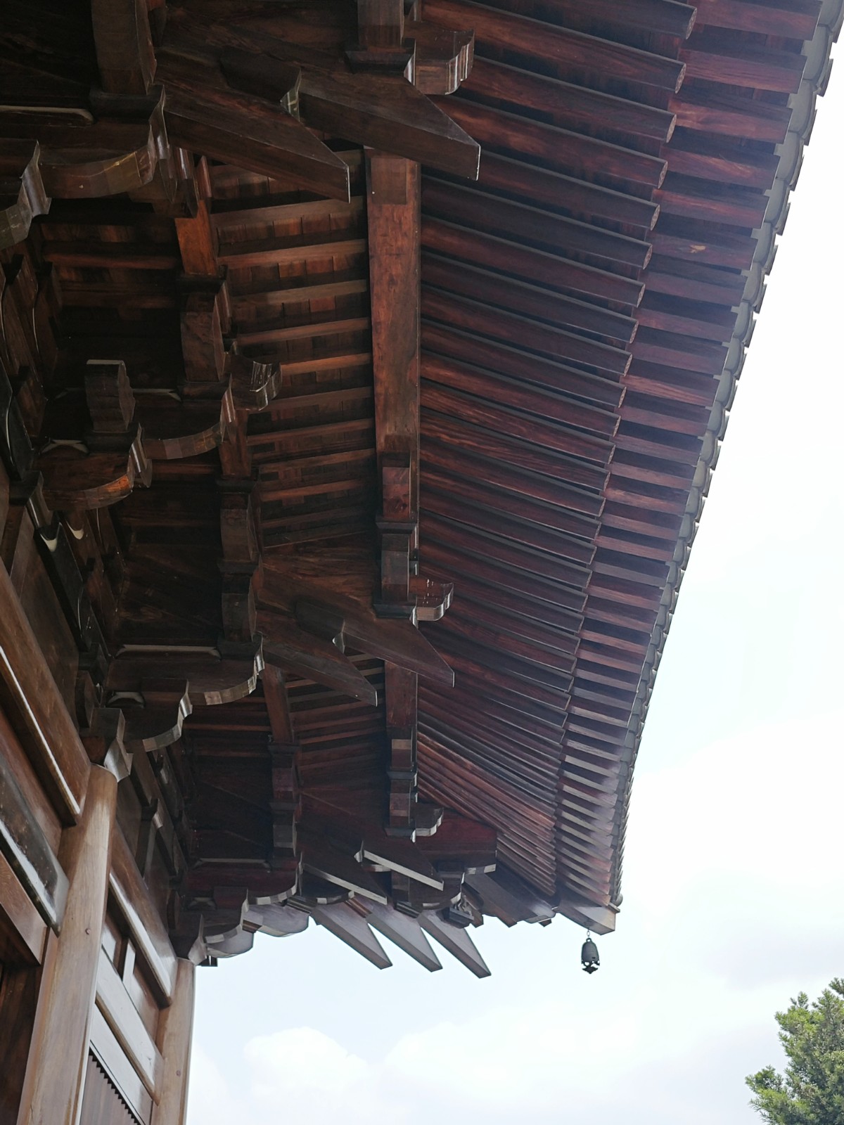 ΢ňDƬ_20250522165405.jpg